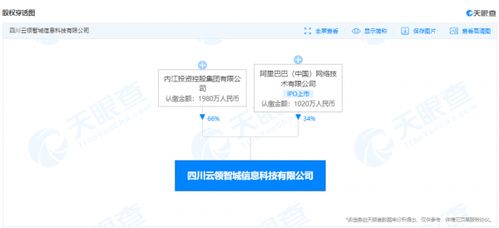 阿里巴巴成立科技公司加码大数据服务，布局数字经济新赛道